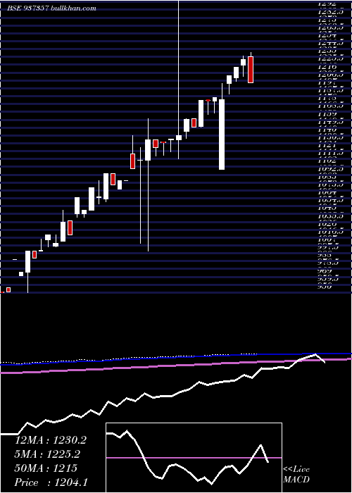  monthly chart Mflv24