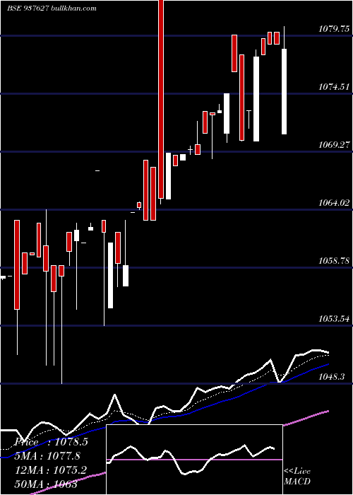  Daily chart 91efsl24
