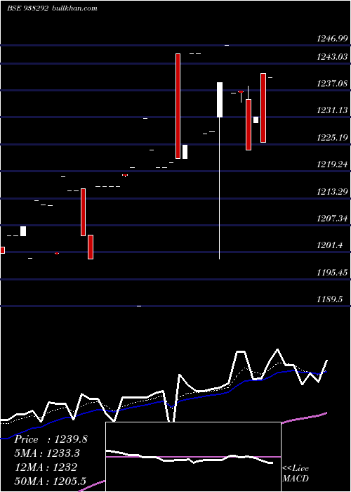  Daily chart Mfl231222