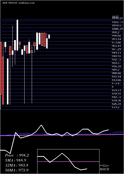  monthly chart 775mfl2026