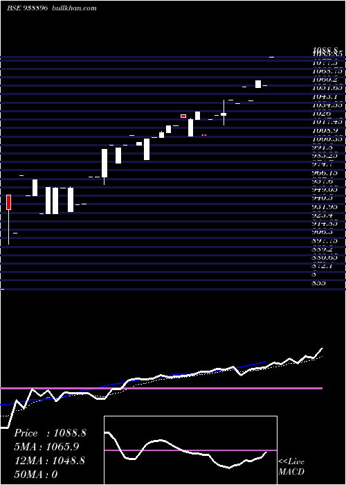  Daily chart 0efsl25