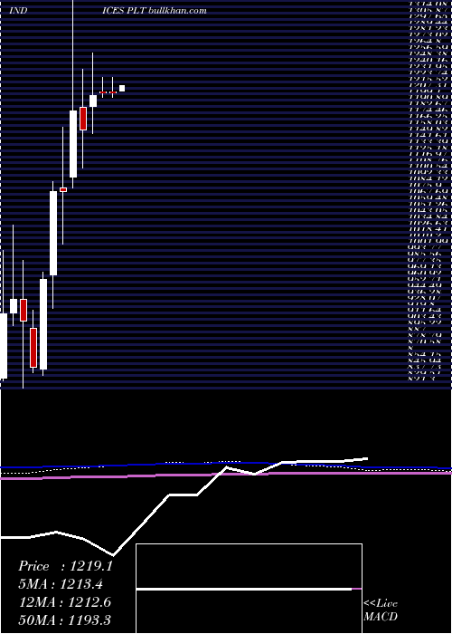  monthly chart PlatinumIndex