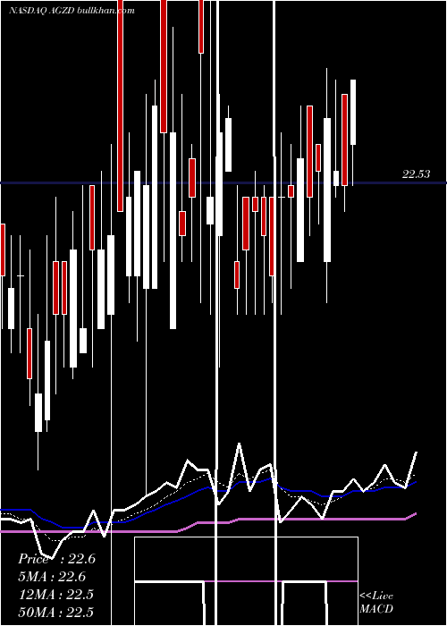  Daily chart WisdomtreeInterest