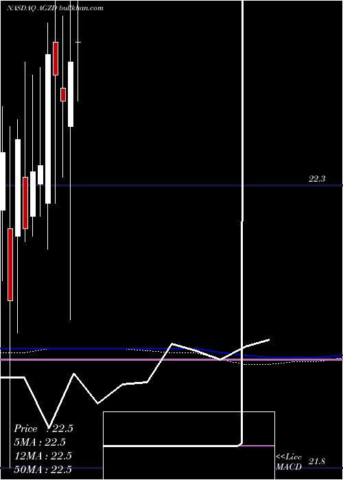  monthly chart WisdomtreeInterest