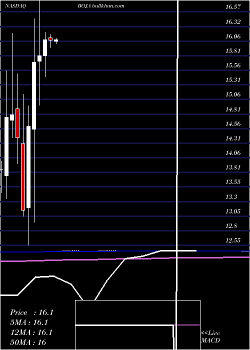  monthly chart BojanglesInc