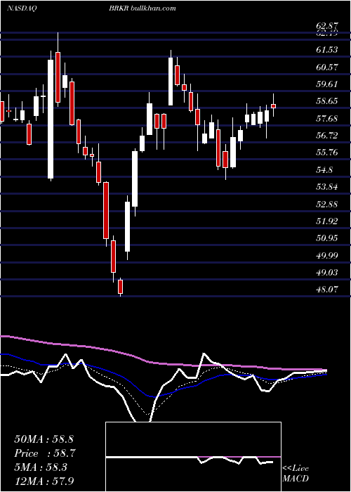  Daily chart BrukerCorporation