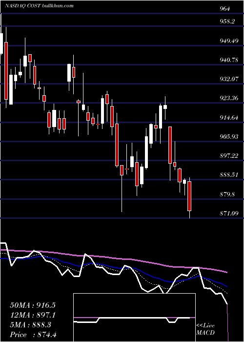  Daily chart CostcoWholesale