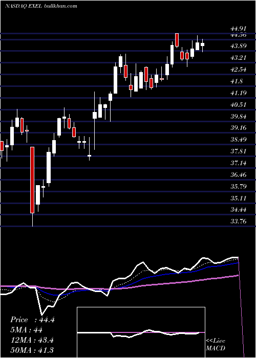  Daily chart ExelixisInc