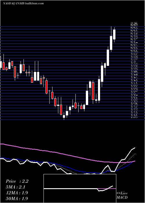 Daily chart InmuneBio