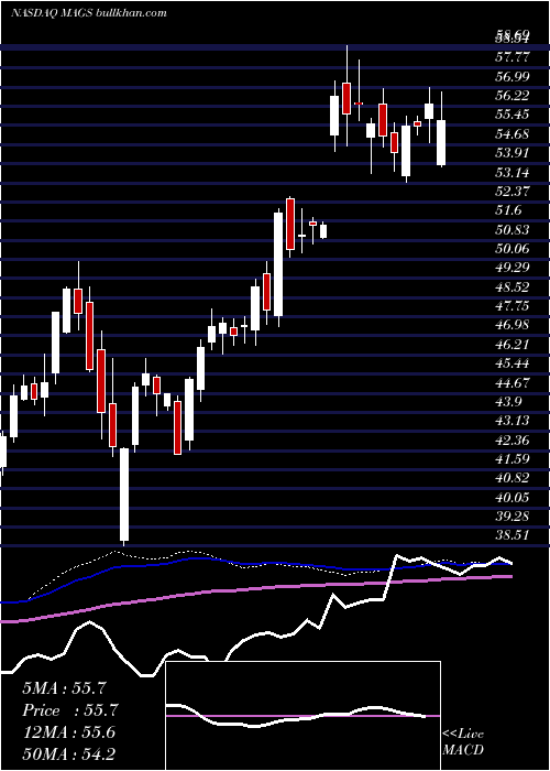  weekly chart MagalSecurity