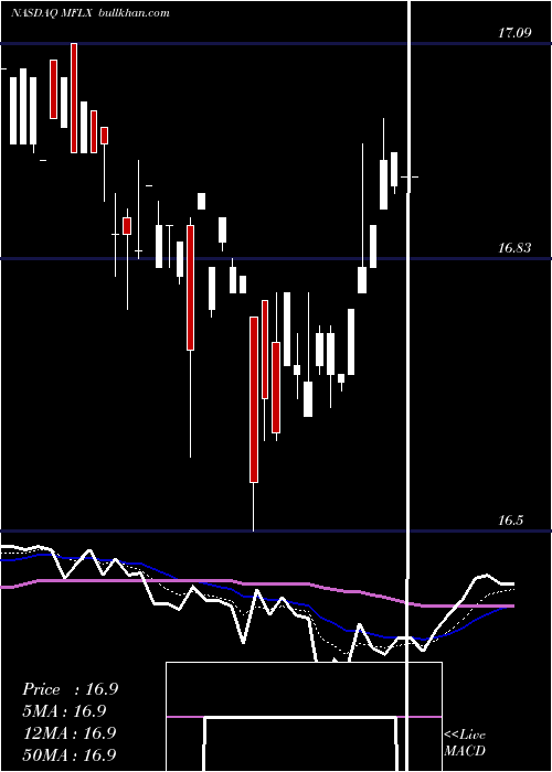  Daily chart MultiFineline