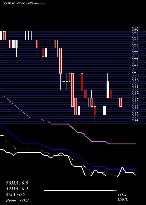  Daily chart NorthwestBiotherapeutics
