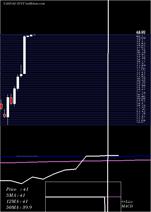  monthly chart SyntelInc