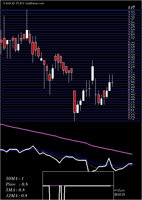  Daily chart TecogenInc