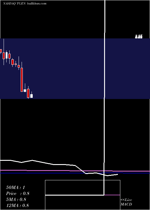  monthly chart TecogenInc