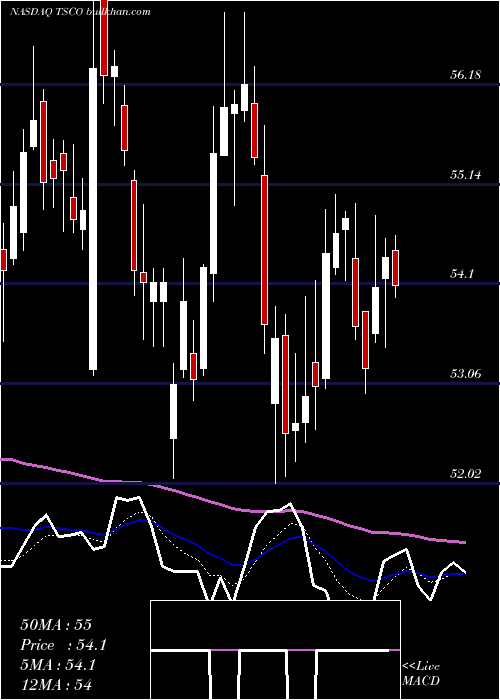  Daily chart TractorSupply