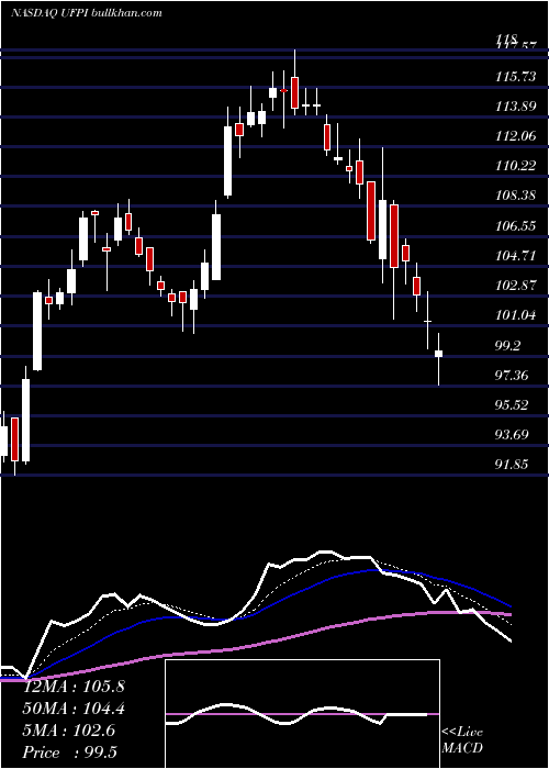  Daily chart UniversalForest