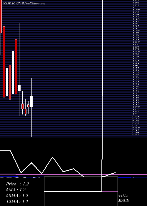  monthly chart UnicoAmerican