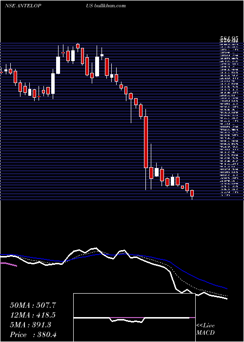  Daily chart AntelopusSelan