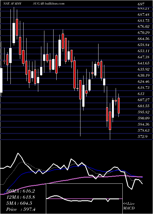  Daily chart AvadhSug