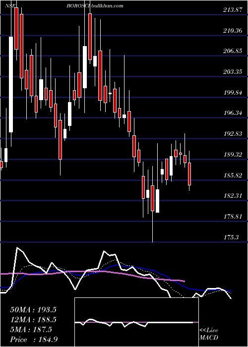  Daily chart BorosilScientific