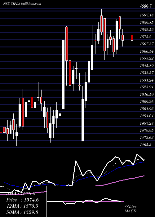  Daily chart Cipla