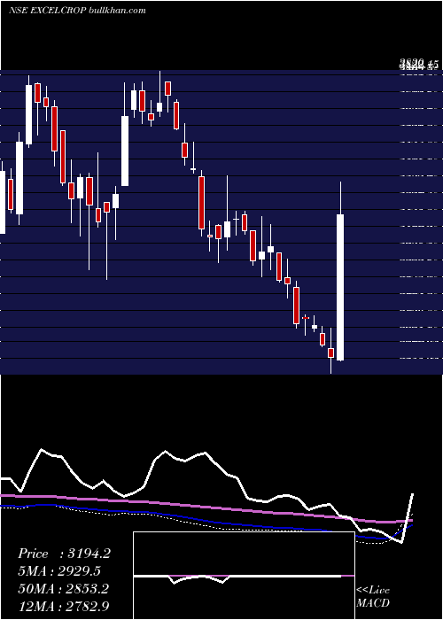  weekly chart ExcelCrop