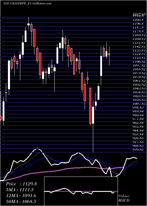  Daily chart GrasimRe