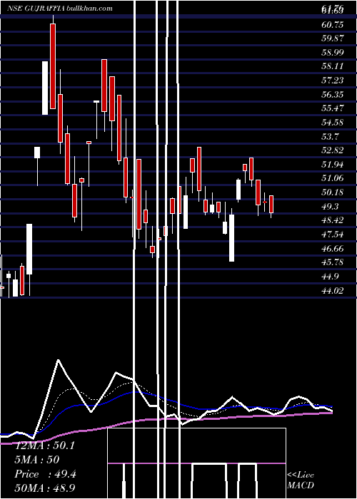  Daily chart GujRaffia