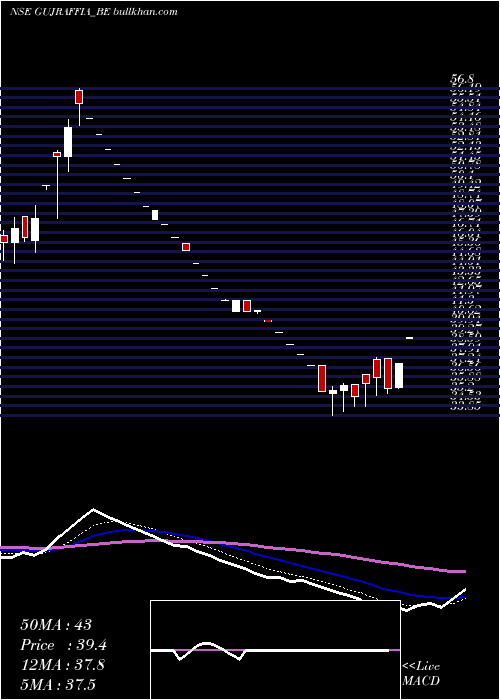  Daily chart GujaratRaffia