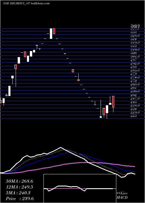  Daily chart HiGreen