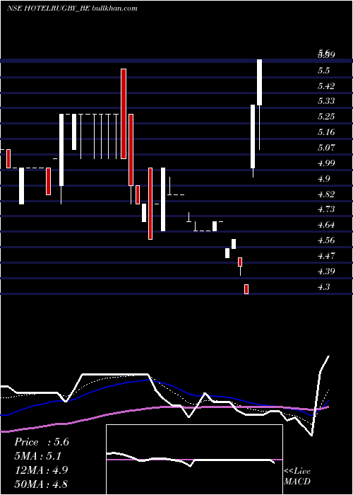 Daily chart HotelRugby