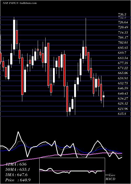  Daily chart Indegene