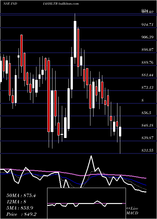  Daily chart IndiaShelter