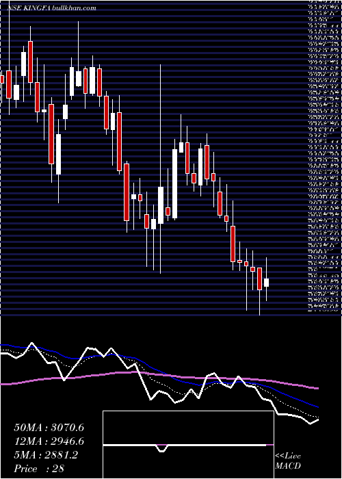  Daily chart KingfaSci