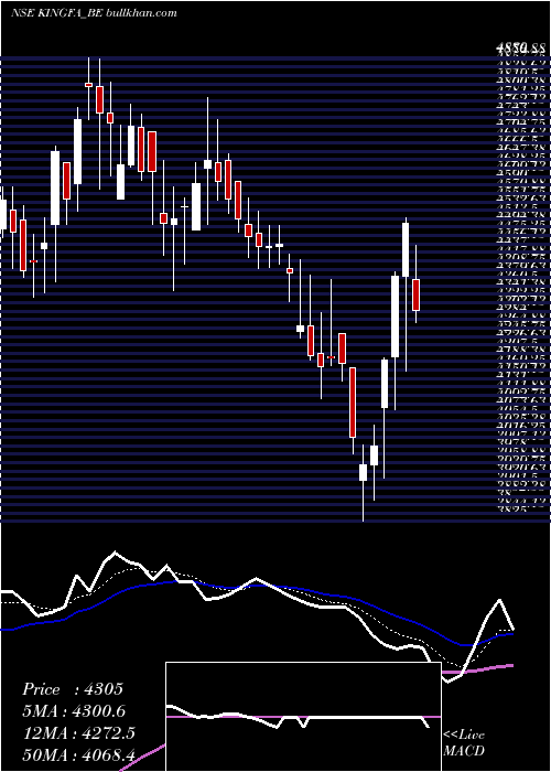  Daily chart KingfaSci