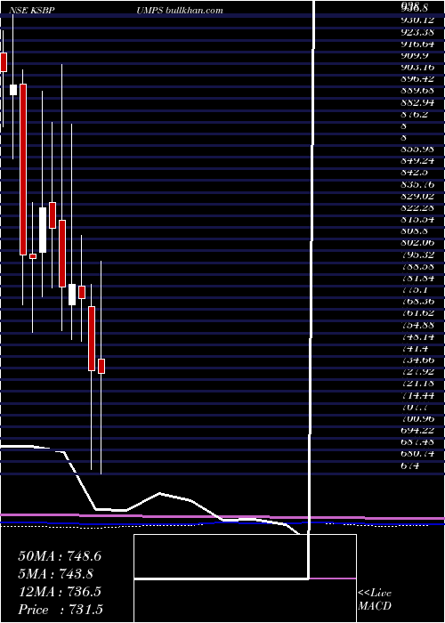  monthly chart KsbPumps