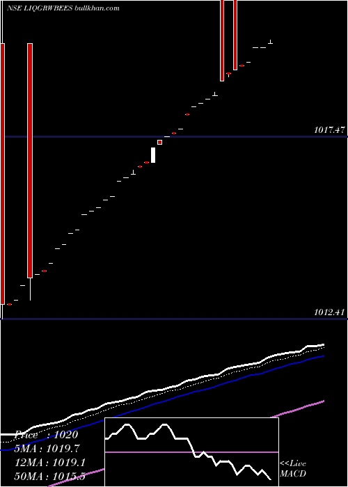  Daily chart NipponamcLiqgrwbees