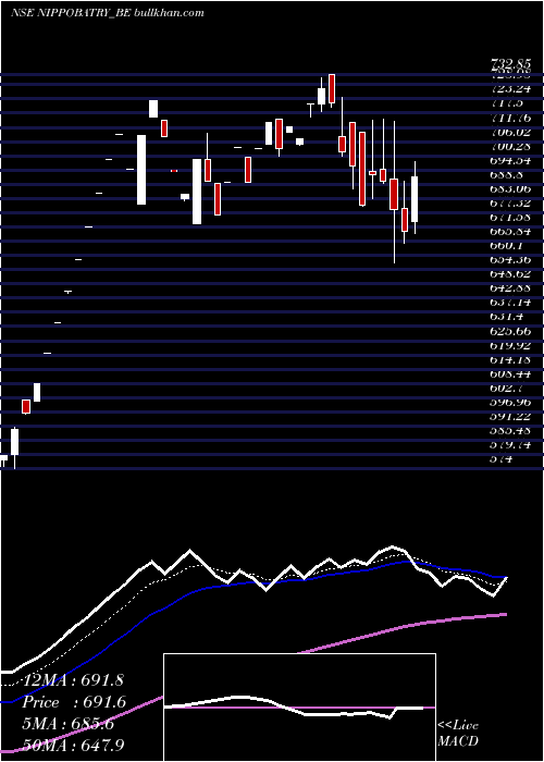  Daily chart IndoNational