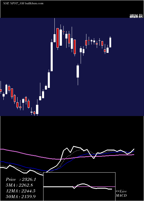  Daily chart NetworkPeople