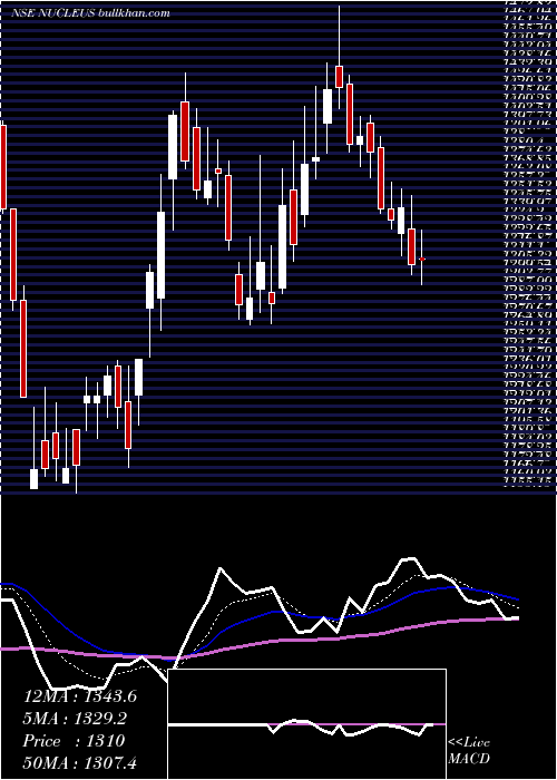  Daily chart NucleusSoftware