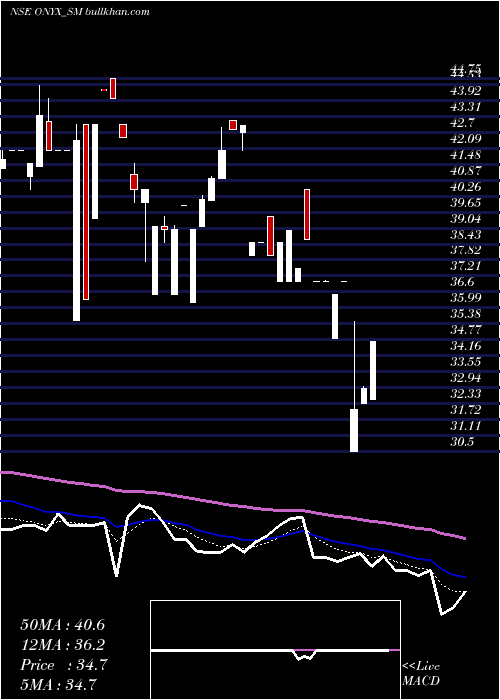  Daily chart OnyxBiotec