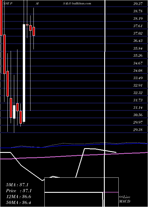  monthly chart PaisaloDigital