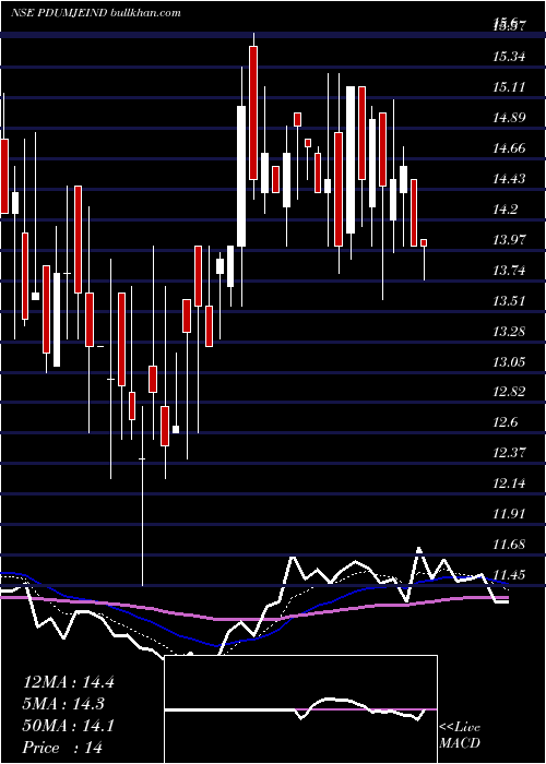  Daily chart PudumjeeIndustries