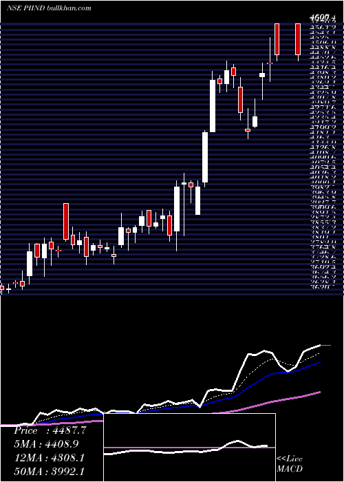  Daily chart PiIndustries