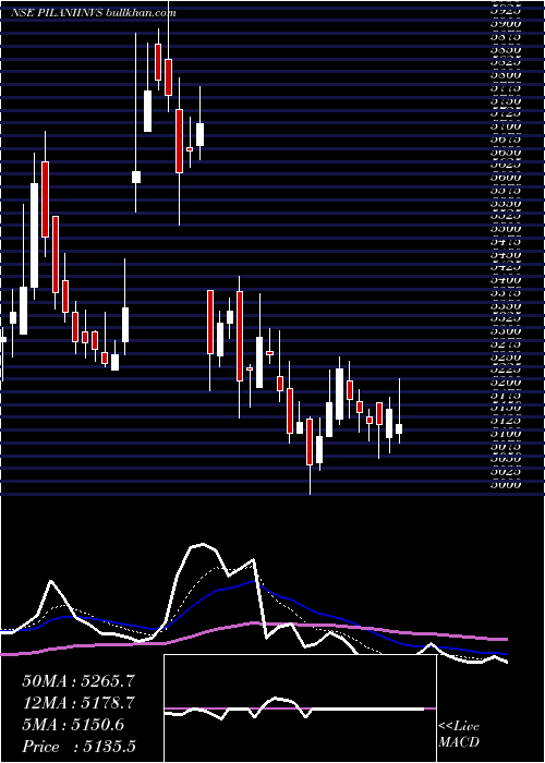  Daily chart PilaniInv