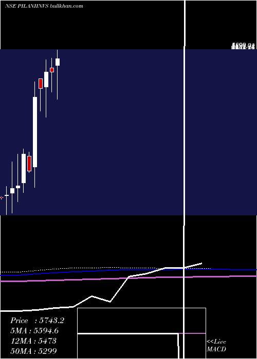  monthly chart PilaniInv