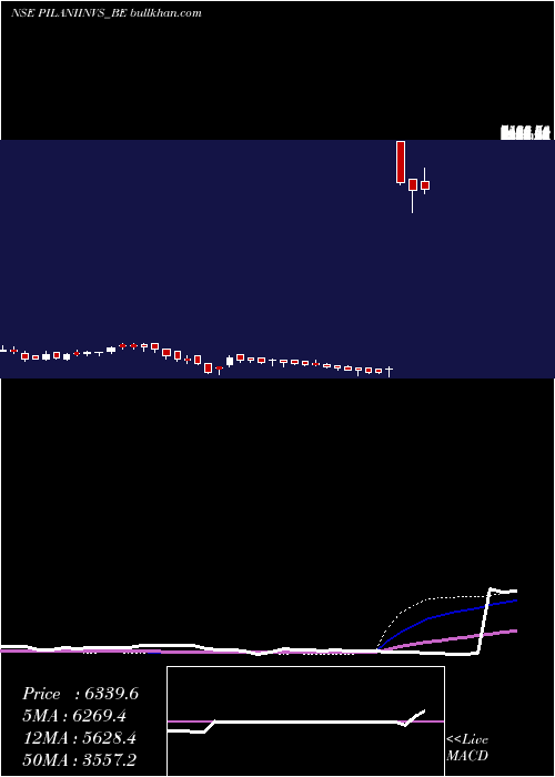  weekly chart PilaniInv