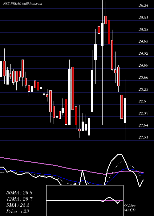  Daily chart PrimoChemicals