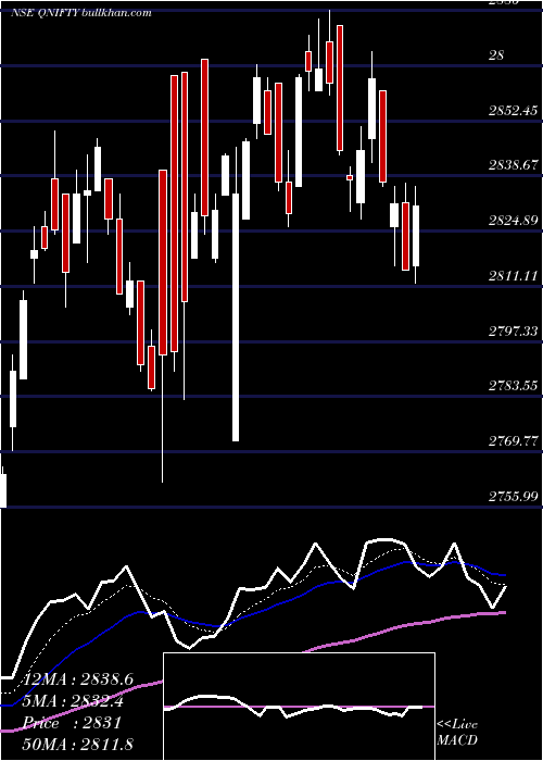  Daily chart QuantumIndex